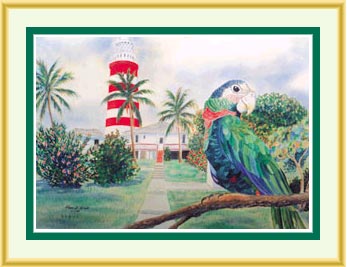 Wildlife Paintings Parrots